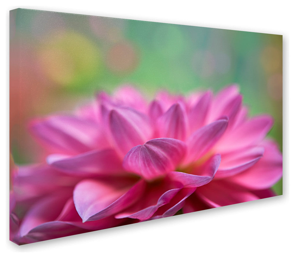 Cora Niele ''Dahlia Petals'' Canvas Art