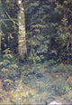 Ivan Ivanovich Shishkin Birch and Pocks Wall Decal