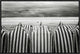 "On The Beach" Framed Canvas Giclee by Toni Guerra, 25x17"