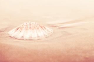 "Seaside" Painting Print on Wrapped Canvas