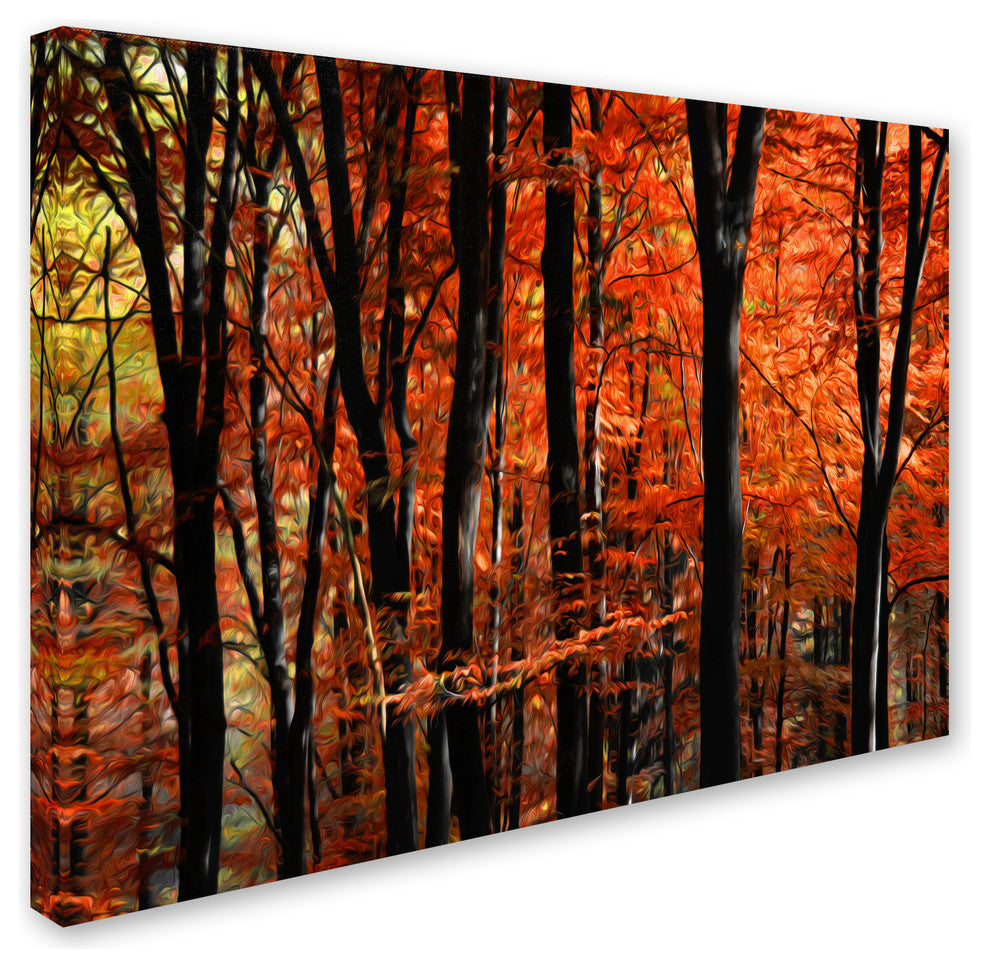 'Indisputable Truth' Canvas Art by Philippe Sainte-Laudy
