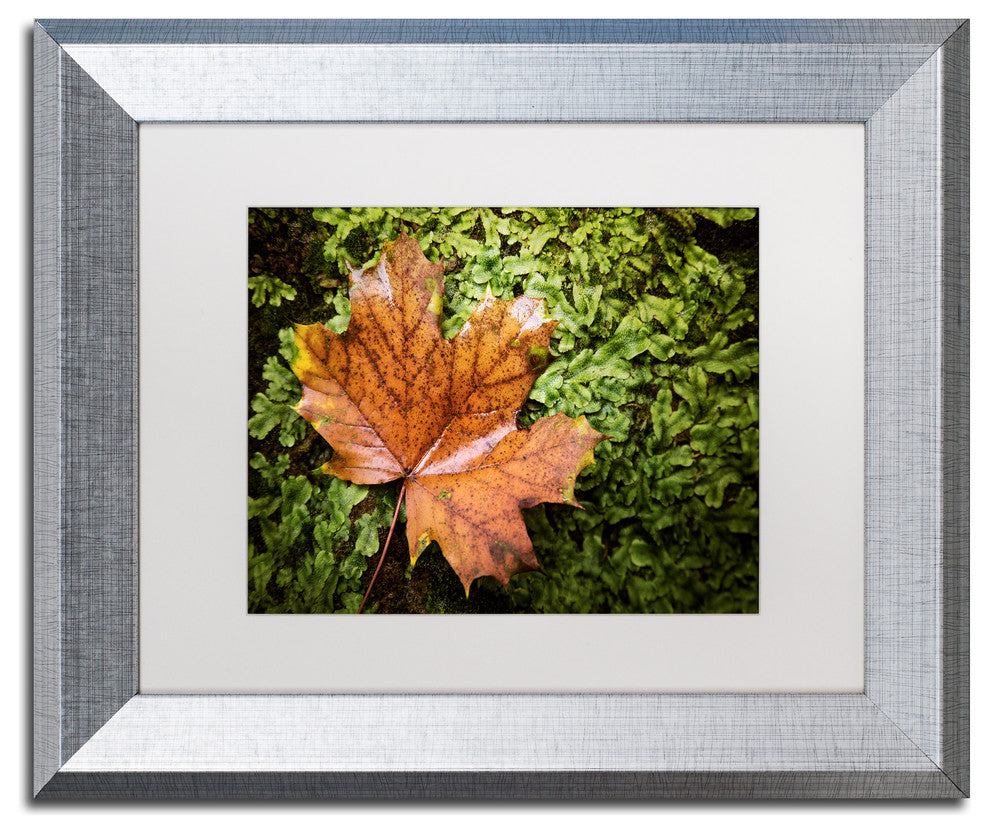 Jason Shaffer 'Maple Moss' Matted Framed Art, Silver Frame, White Mat, 14x11