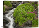 "Porphyry Creek Near Silverton, Colorado" Artwork, 32" x 24"