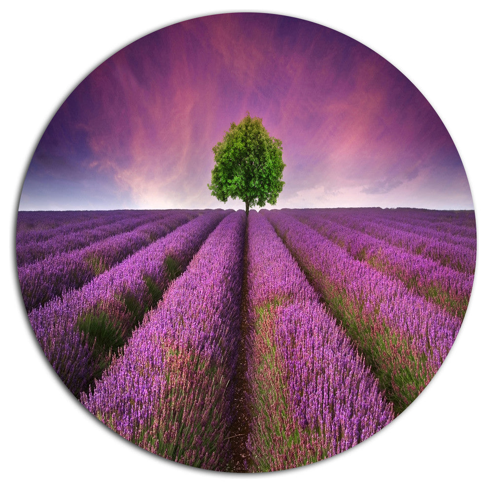 Lavender Field Sunset With Single Tree, Floral Disc Metal Artwork, 11"