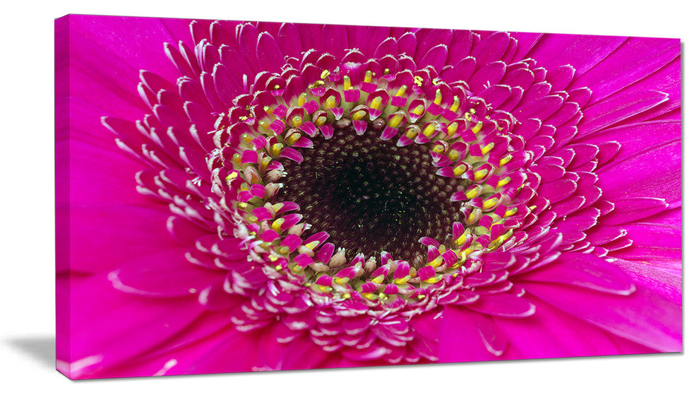 Center of Gerbera Flower Close up, Flowers Canvas Wall Artwork, 32"x16"