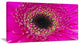 Center of Gerbera Flower Close up, Flowers Canvas Wall Artwork, 32"x16"