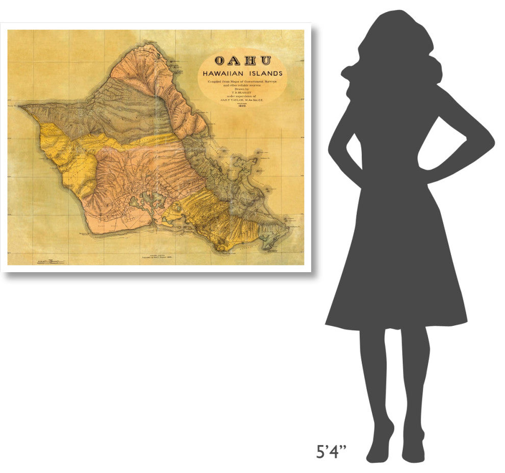 "Oahu, Hawaiian Islands, 1899" Digital Paper Print by T.D. Beasley, 46"x37"