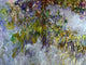 Claude Oscar Monet Wisteria, left half, Gallery Wrapped Canvas Print, 21"x28"