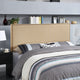 Region Queen Nailhead Upholstered Headboard, Coffee