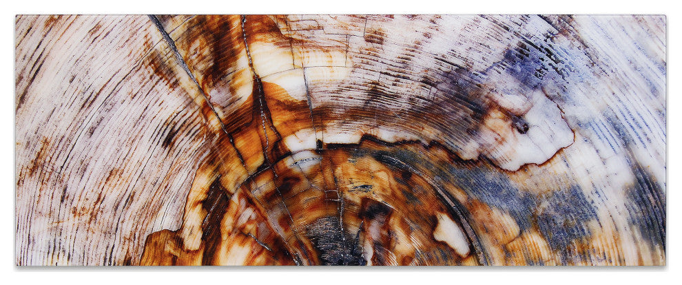 "Impact A"  Abstract Wall Art Frameless Free Floating Tempered Glass