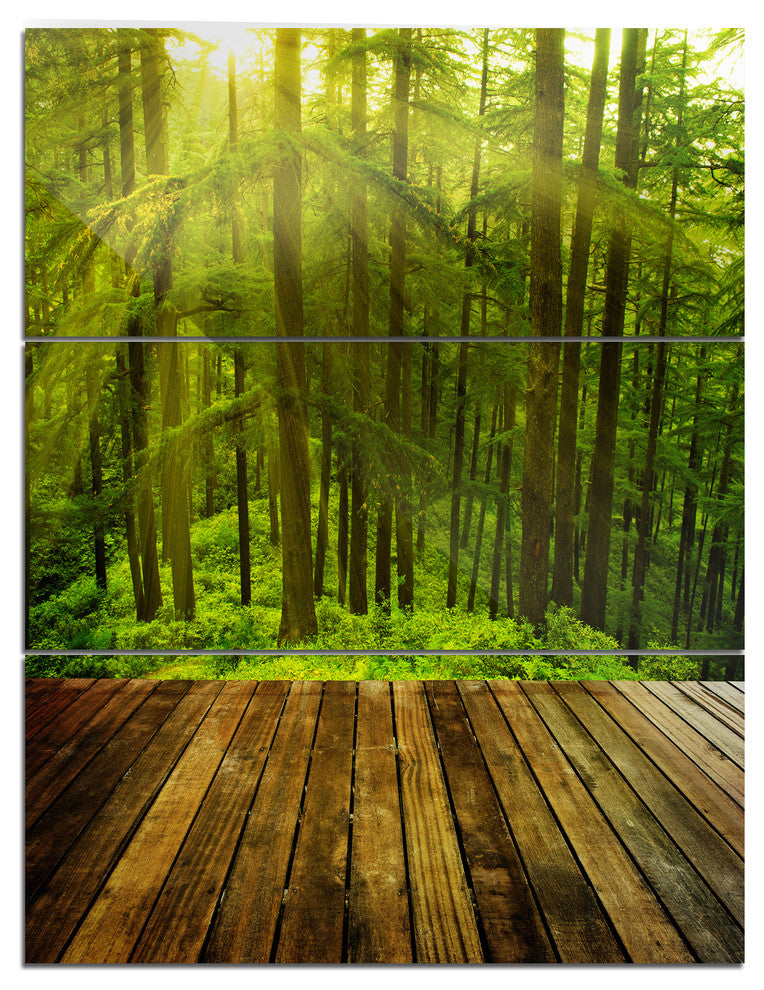 "Golden Sunlight in Pine Forest" Photo Metal Wall Art, 3 Panels, 28"x36"