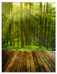 "Golden Sunlight in Pine Forest" Photo Metal Wall Art, 3 Panels, 28"x36"