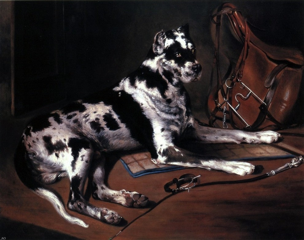 Bernard De Gempt Recumbant Great Dane, 20"x25" Wall Decal