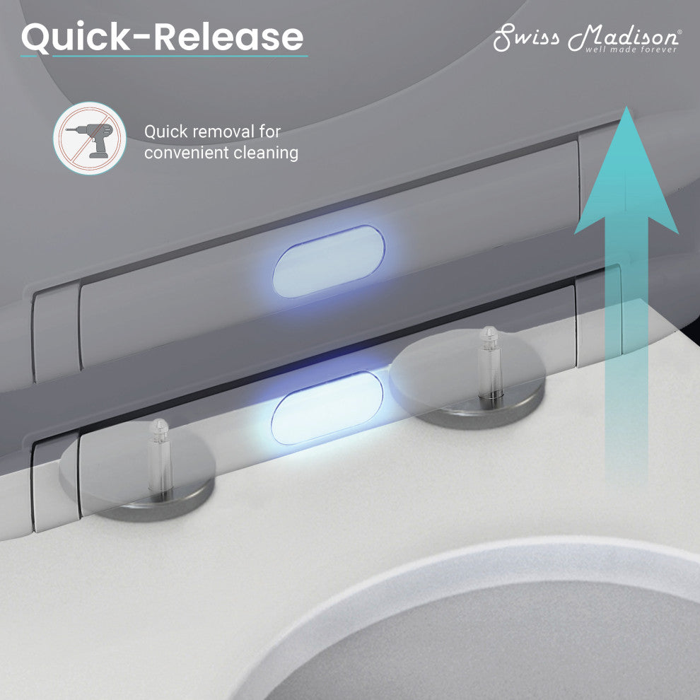 Lumiere Elongated Quick-Release Toilet Seat With Night Light