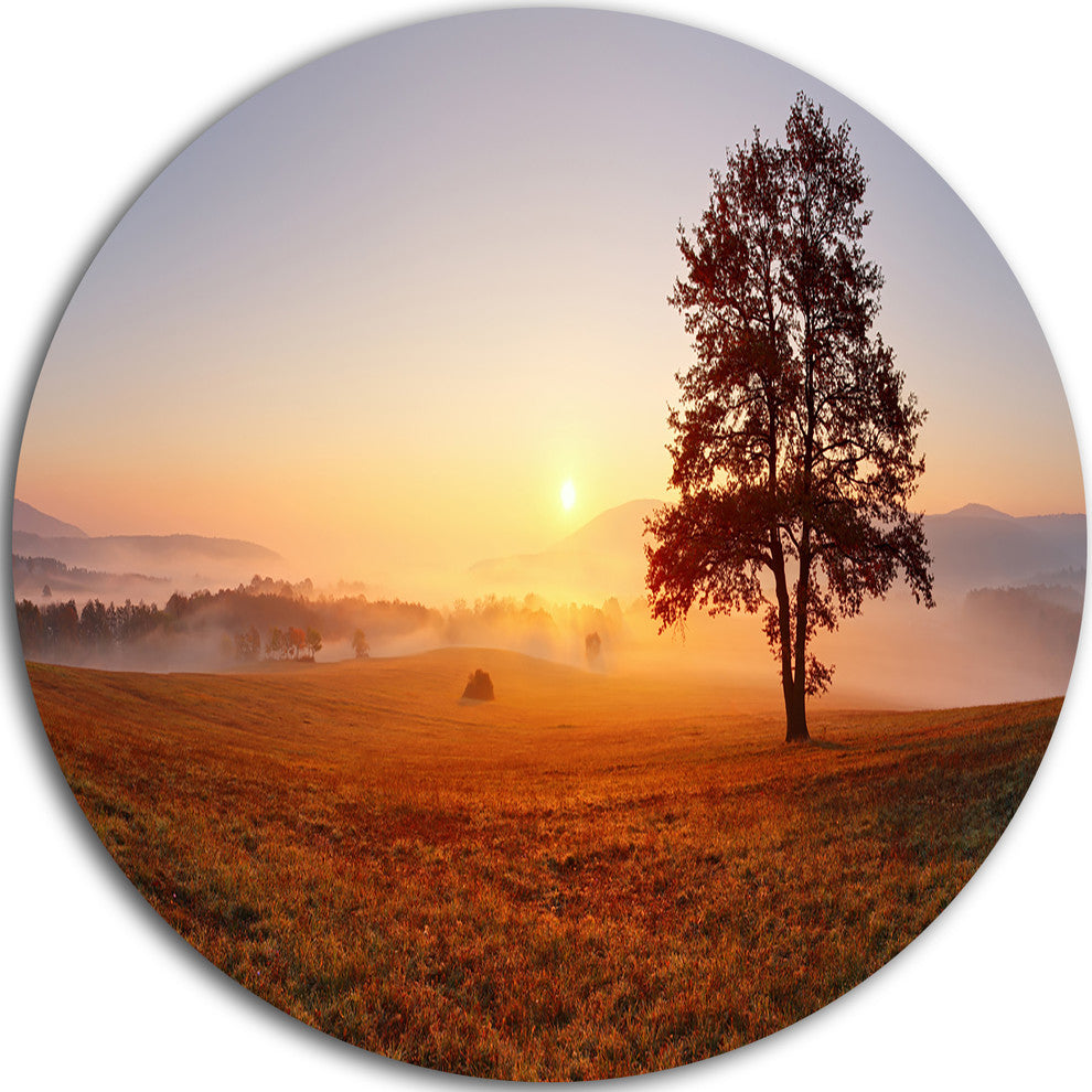 Lonely Tree At Sunset, Landscape Photography Disc Metal Wall Art, 23"