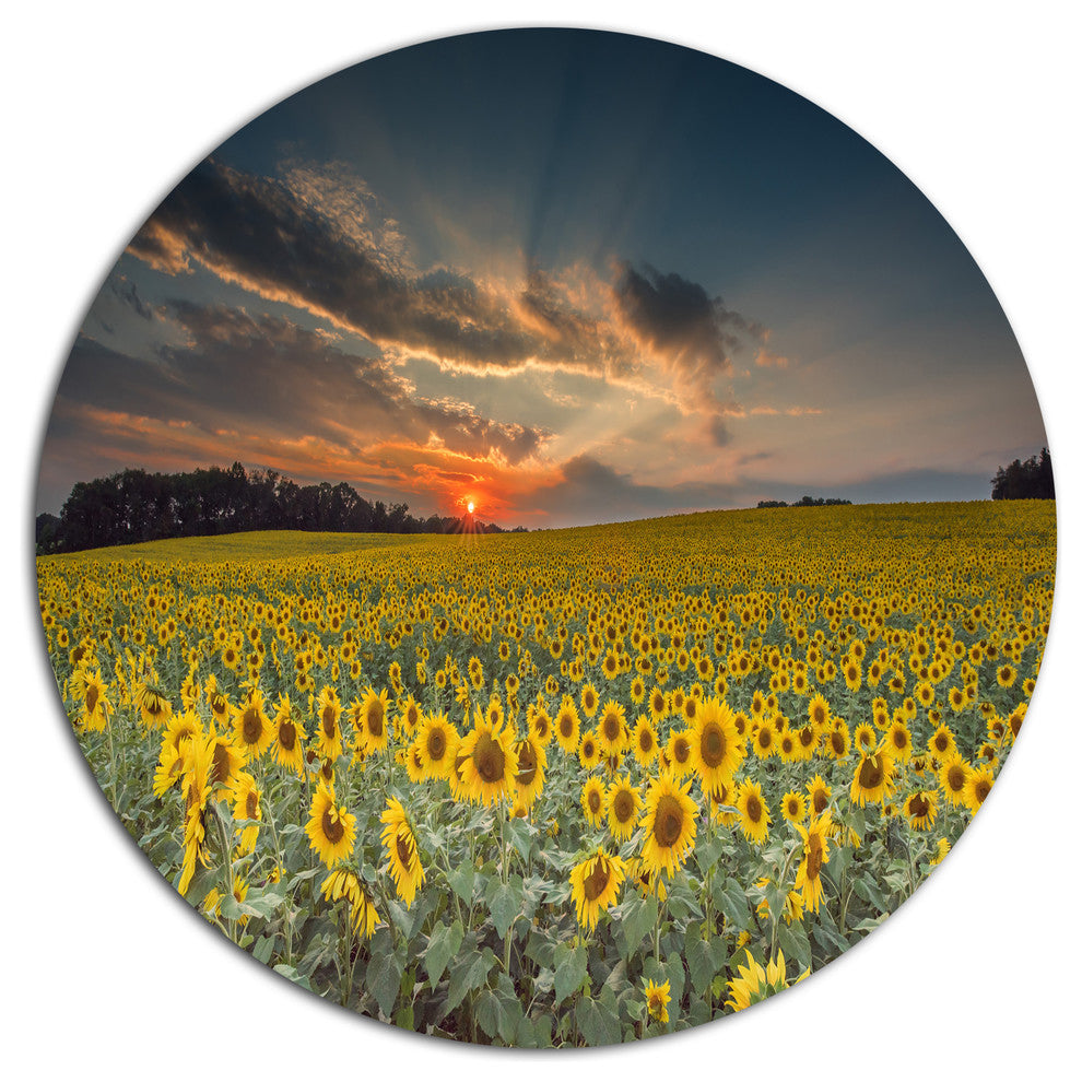 Sunflower Sunset With Cloudy Sky, Landscape Wall Round Wall Art, 36"