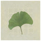 "Forest Leaves IV no Lines" Digital Paper Print by Kathrine Lovell, 32"x32"