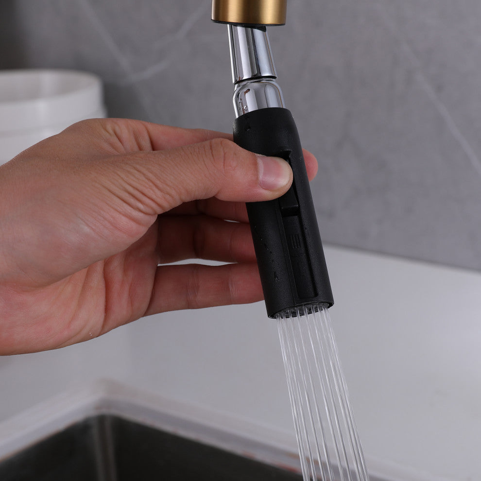 Dual-Function Pull Out Kitchen Faucet With Single Handle and Swivel Spout