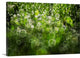 "Dew Drops On Grass" Wrapped Canvas Art Print, 48"x32"x1.5"