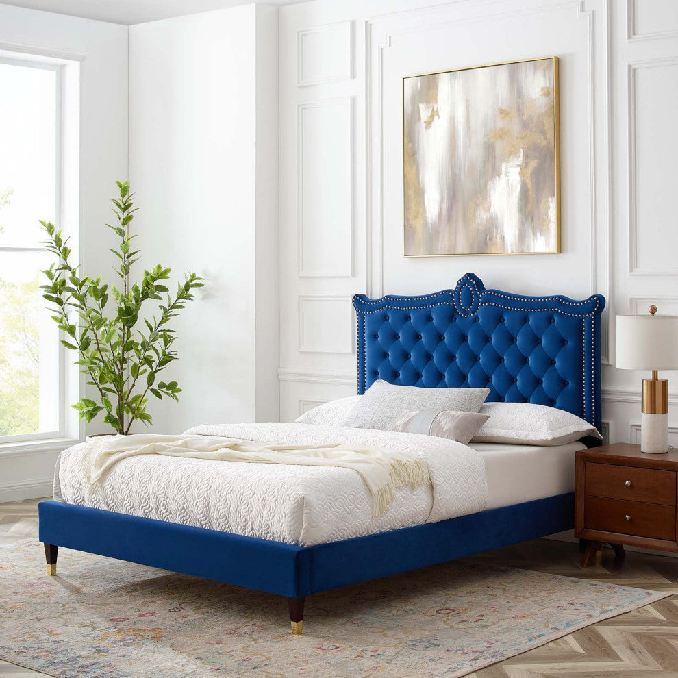 Platform Bed Frame, Nailhead, Queen Size, Blue Navy, Velvet, Modern