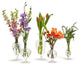 Two's Company Verre Fluted Glass Vases, Set of 5