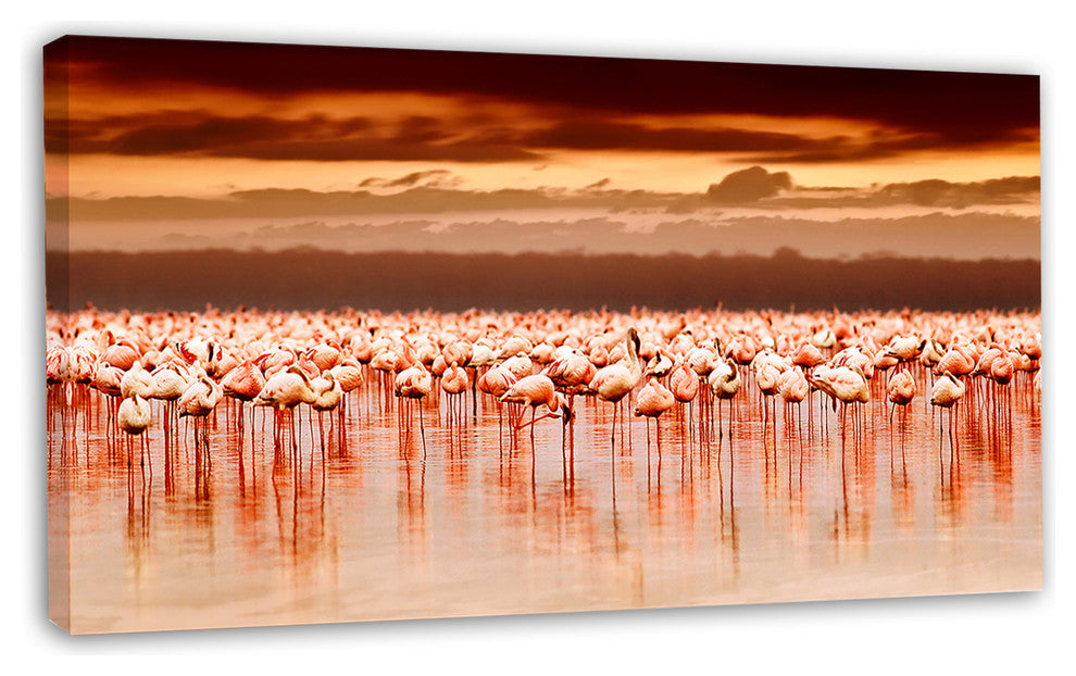 African Flamingos View At Sunset, Floral Canvas Art Print, 32"x16"