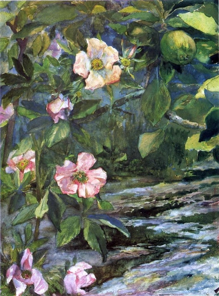 John La Farge Wild Roses, 21"x28" Wall Decal Print