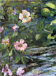 John La Farge Wild Roses, 21"x28" Wall Decal Print