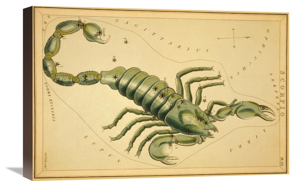 "Scorpio, 1825" Stretched Canvas Giclee by Jehoshaphat Aspin, 24"x16"
