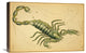 "Scorpio, 1825" Stretched Canvas Giclee by Jehoshaphat Aspin, 24"x16"