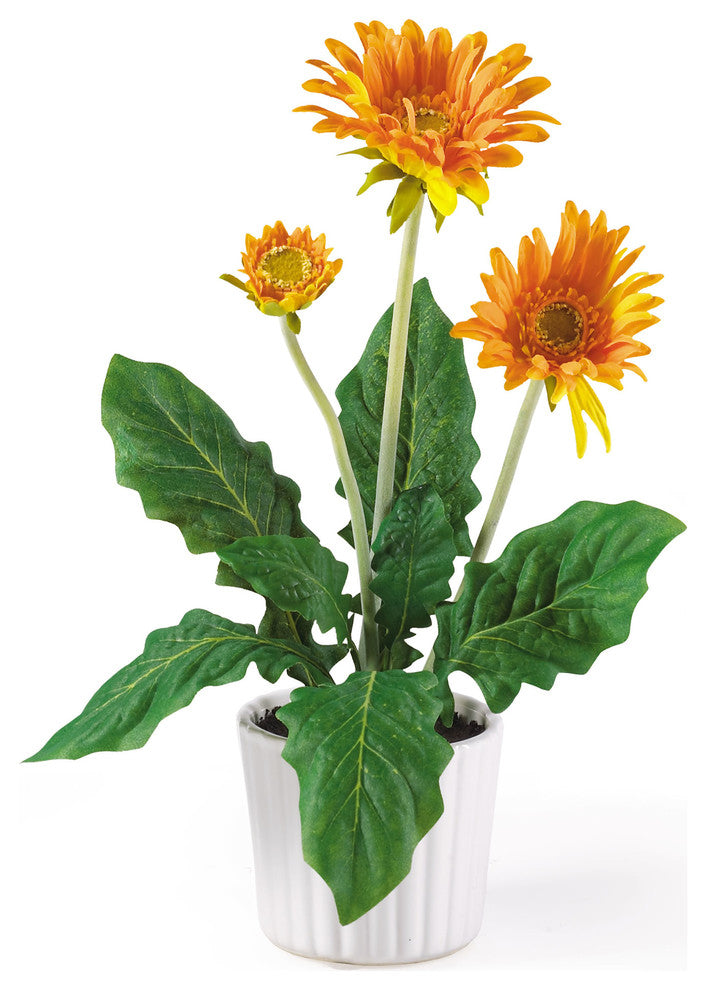 Gerber Daisy With White Vase, Set of 6