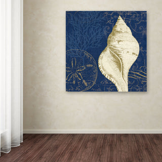 'Coastal Moonlight IV Teal' Canvas Art by Pela Studio