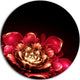 Fractal Pink Flower, Floral Digital Art Round Wall Art, 11"