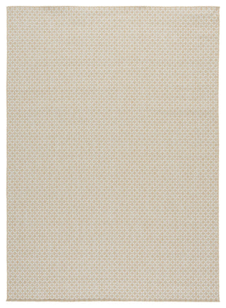 Safavieh Terrace Collection TER804 Rug, Beige/Ivory, 8'x10'