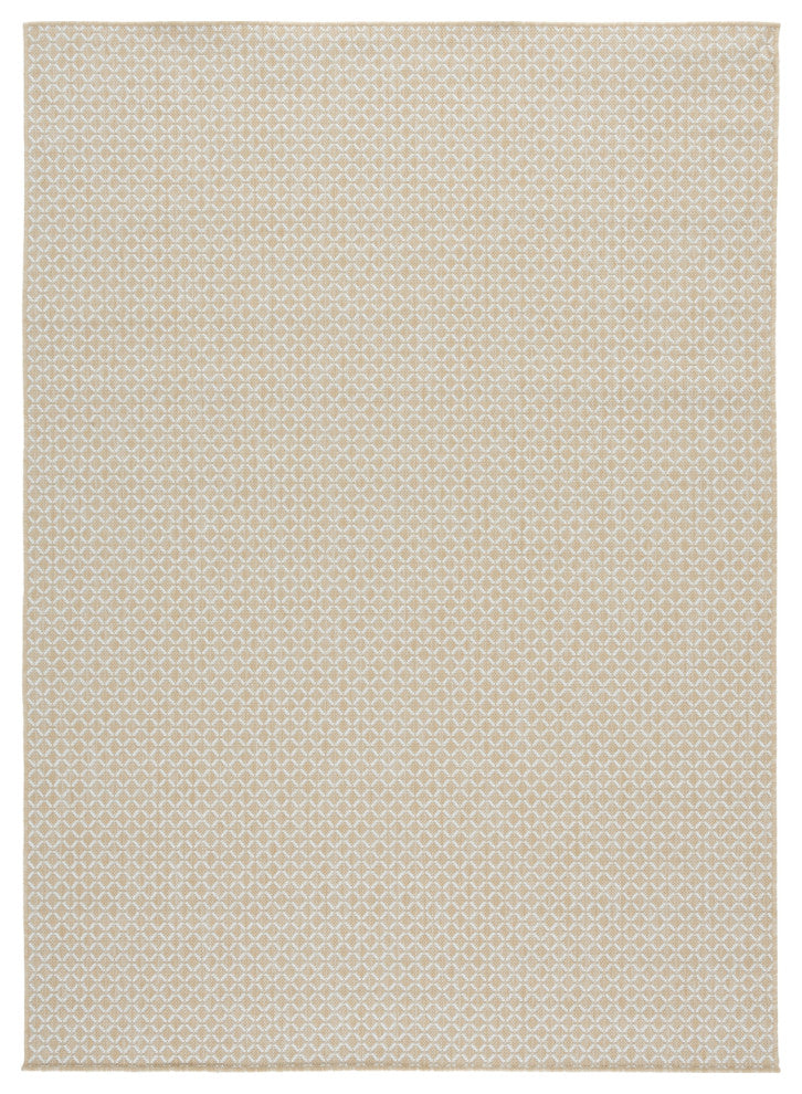 Safavieh Terrace Collection TER804 Rug, Beige/Ivory, 8'x10'