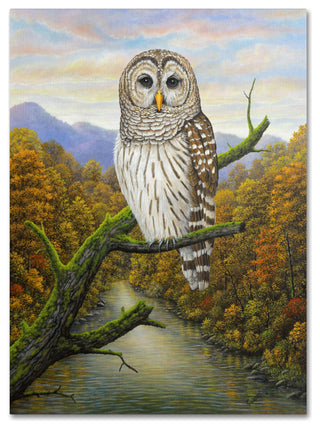 Robert Wavra 'Barred Owl' Canvas Art, 35" x 47"