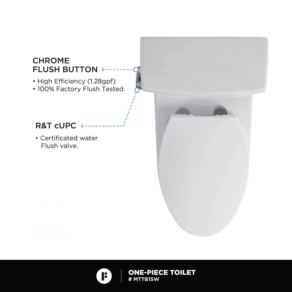 Fine Fxitures Modern Two Piece Elongated Toilet Ada Compliant