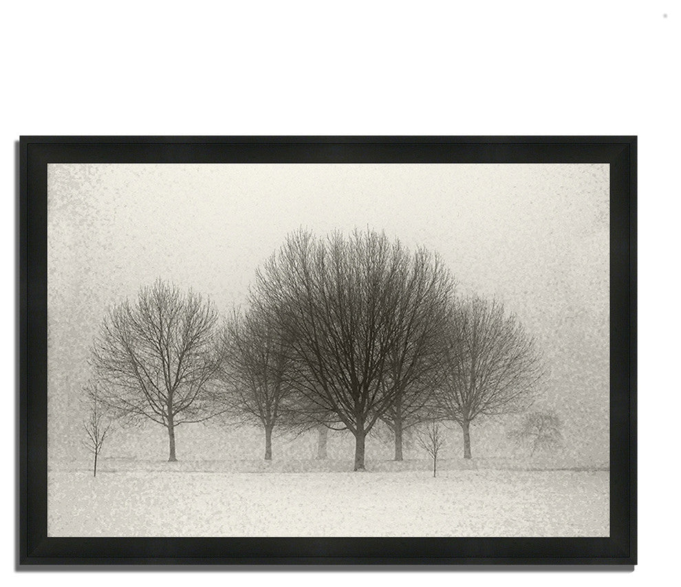 "Fading Memories", Framed Photograph Print, Ready To Hang