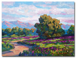 'California Hills' Canvas Art by David Lloyd Glover