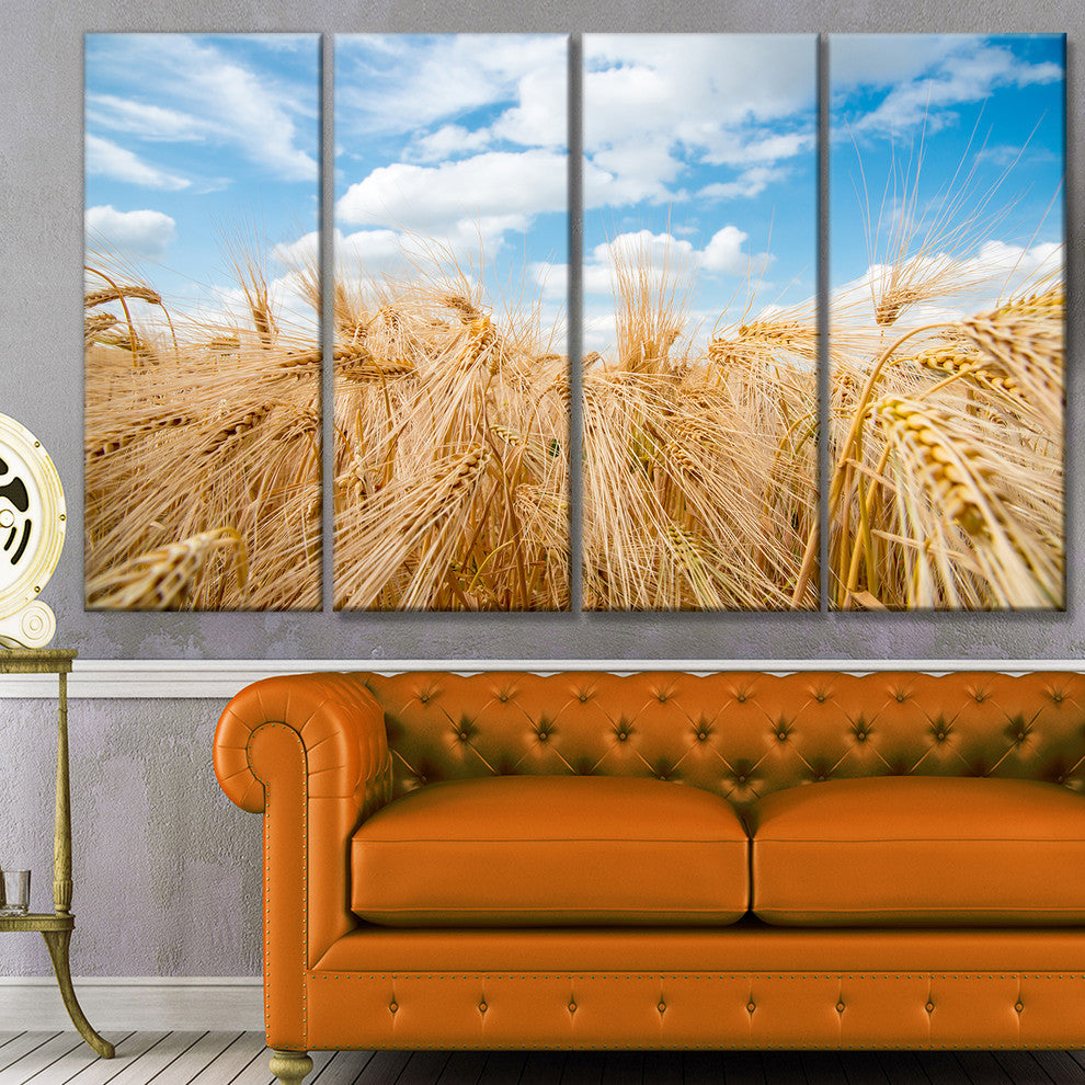 Barley Field under Blue Sky, Landscape Canvas Art Print, 48"x28", 4 Panels