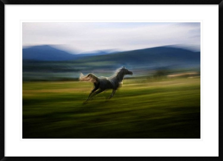 "Alone" Framed Digital Print by Milan Malovrh, 38x27"
