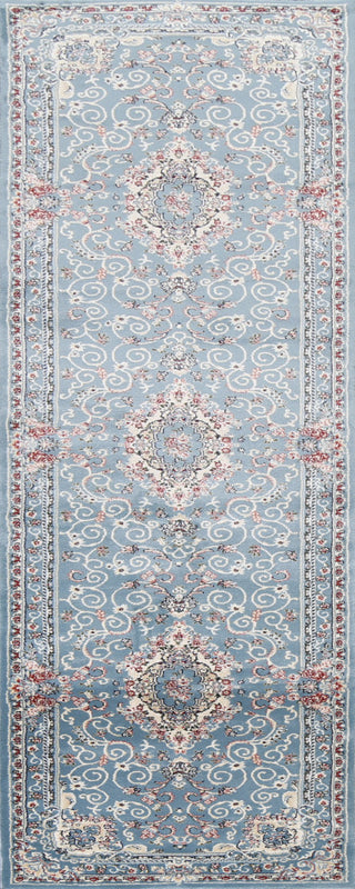 Light Blue Floral Medallion Transitional Turkish Rug Oriental Carpet 3x10