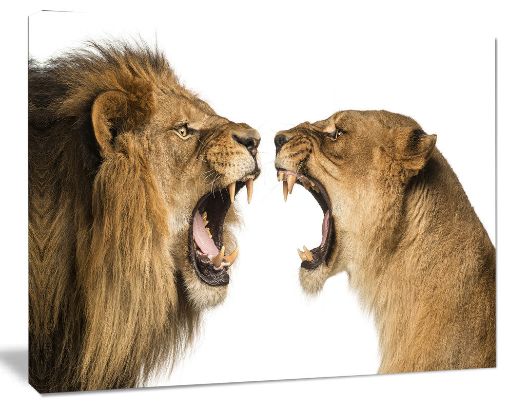 Lion and Lioness Roaring, Abstract Canvas Art Print, 40"x30"