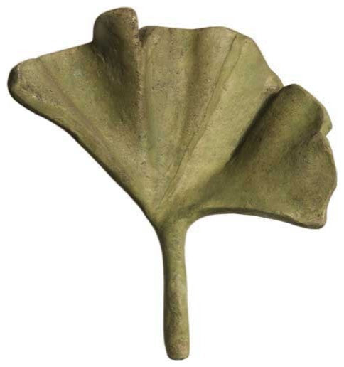 Ginko Leaf