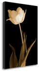 "Splendid Beauty" By Charles Britt, Giclee Print on Gallery Wrap Canvas