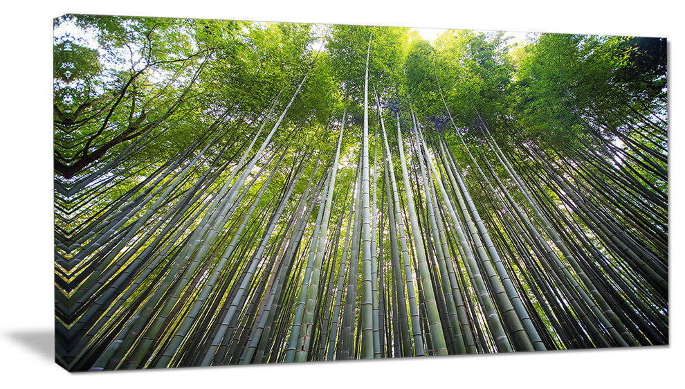 "Bamboo Forest of Kyoto Japan." Forest Canvas Wall Art Print, 40"x20"