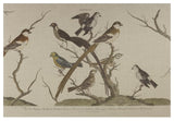 Bunting Birds Horizontal Gallery