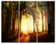 "Golden Forest in Fall Morning" Photo Metal Wall Art, 3 Panels, 36"x28"