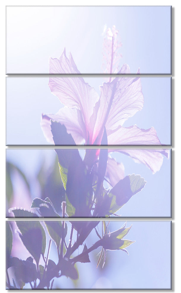 Pink Hibiscus Flower in Hawaii, Large Flower Canvas Art Print, 28"x48", 4 Panels