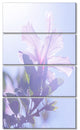 Pink Hibiscus Flower in Hawaii, Large Flower Canvas Art Print, 28"x48", 4 Panels